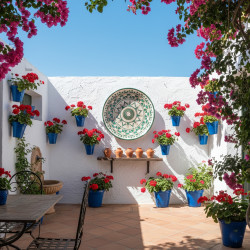 Grande Plat "Tito" - 51 cm. -