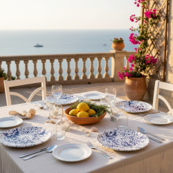 Set of 2 Dinner plates.